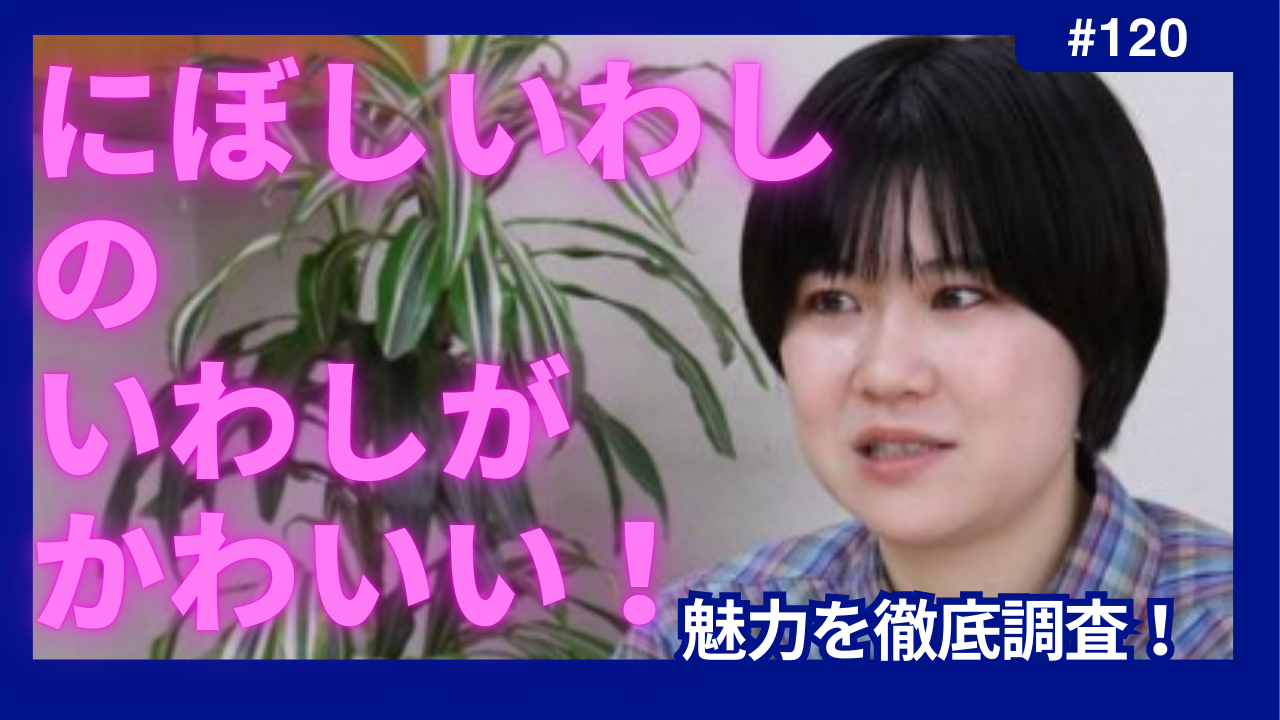 にぼしいわし　いわし　かわいい